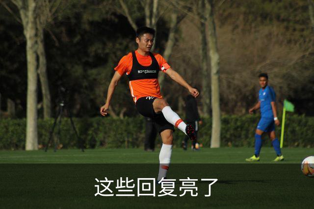 这些回复亮了