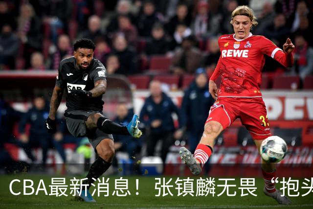 CBA最新消息！张镇麟无畏“抱头哥”称谓，辽宁助教加盟浙江，广厦续约布朗